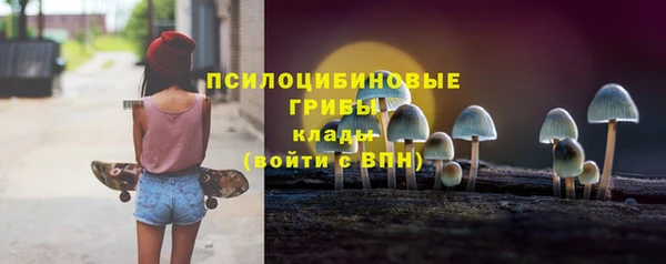 стаф Нея