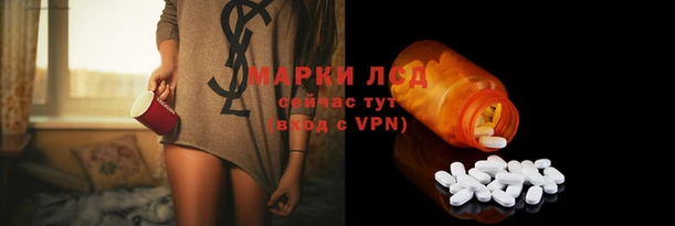 индика Анжеро-Судженск