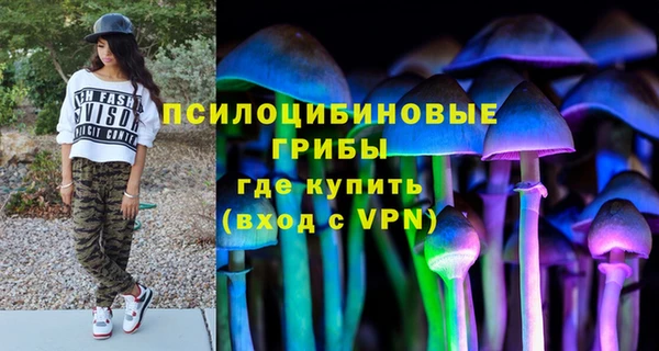 Альфа ПВП Абаза