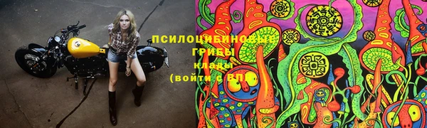 стаф Нея