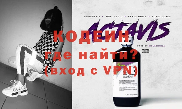 индика Анжеро-Судженск