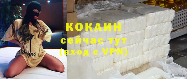 амф Анива