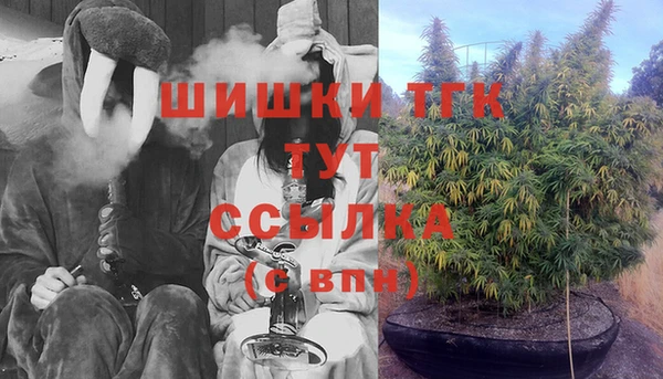 тгк Абинск